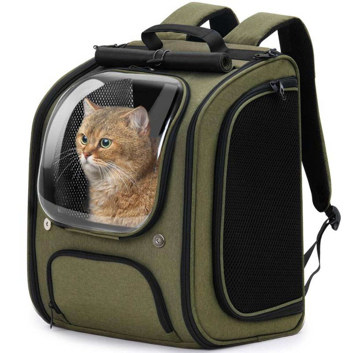Cat Carrier Backpack -  Expandable, Locking Zipper, Ventilated Mesh, Breathable Fabric, UV Protection, Padded Straps, Foldable, No Pulling